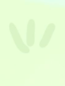 清月發(fā)瘋