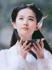 综影视执念师