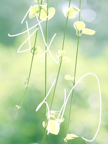 我们2433