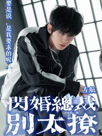 左航：闪婚总裁别太撩