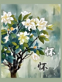 怀怀