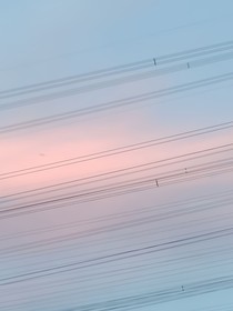 在家养伤