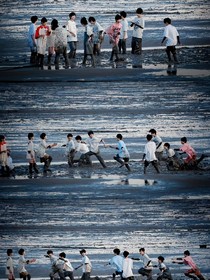TF家族四代CP乱炖
