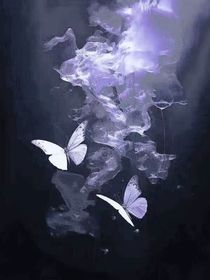 轻风许你