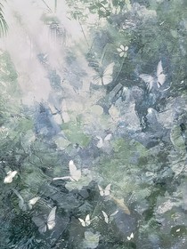 樱桃小丸子——白月光