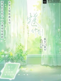 完美计划！