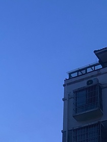 山茶辞