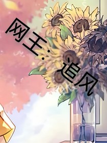网王：追风