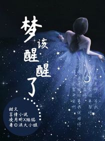 梦该醒醒了