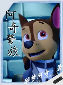 汪汪队立大功之阿奇警旅