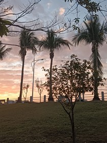 认识你真是太好了