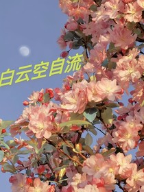 白云空自流