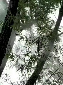 穿越修仙之不知所措