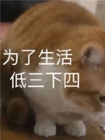 春开