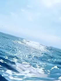 用AI写的京剧猫