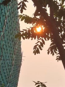 爱恨交织：错爱命运