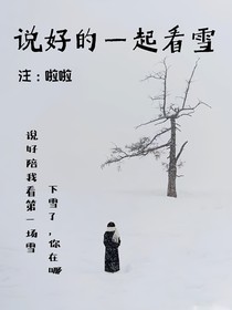说好的一起看雪