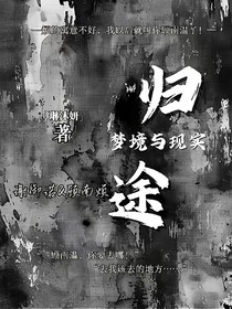 归途，梦境与现实