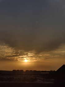 柳飘弘韵悠