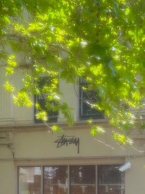 盛夏时候