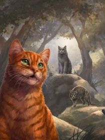 猫武士1部曲