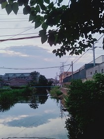 尘埃终落定