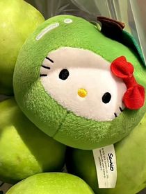 TNT之CP大乱炖