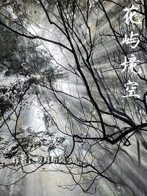 花嶼境空