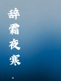 辞霜夜寒