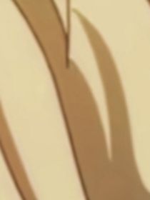 重生之神明世界