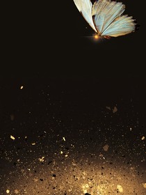 破茧2：黑夜里透进的光