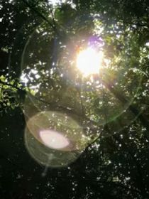 终重逢……