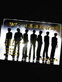 TNT：日落清除计划（已弃）