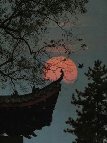 留得残枝揽云霞