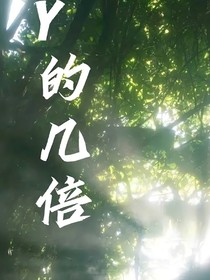 Y的幾倍