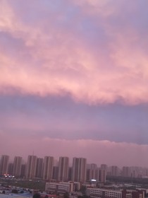 想不到名字的自由