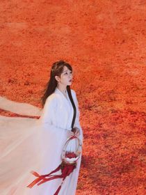 长相思（整体改版）