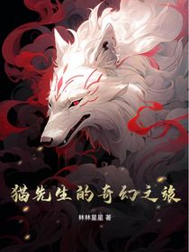 猫先生的奇幻之旅