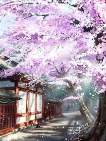 网球王子之花落下的声音