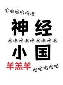 神经小国