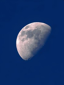 求个名