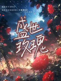 盛世瑰陨