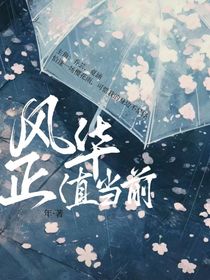 风华正值当前