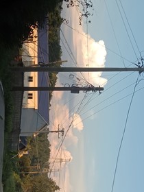 我们的仲夏夜