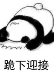 爱咋地咋地，取个名字全已存在