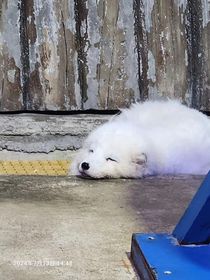 帮助我一个朋友