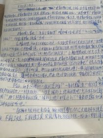 我的世界记事录之村民联邦