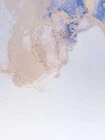 校园里的侦探团