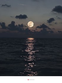 如梦今朝月