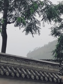 爱小杜同学一万年